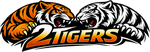 2Tigers